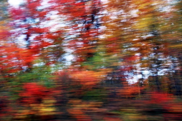 Essence Of Fall by Deb Oppermann